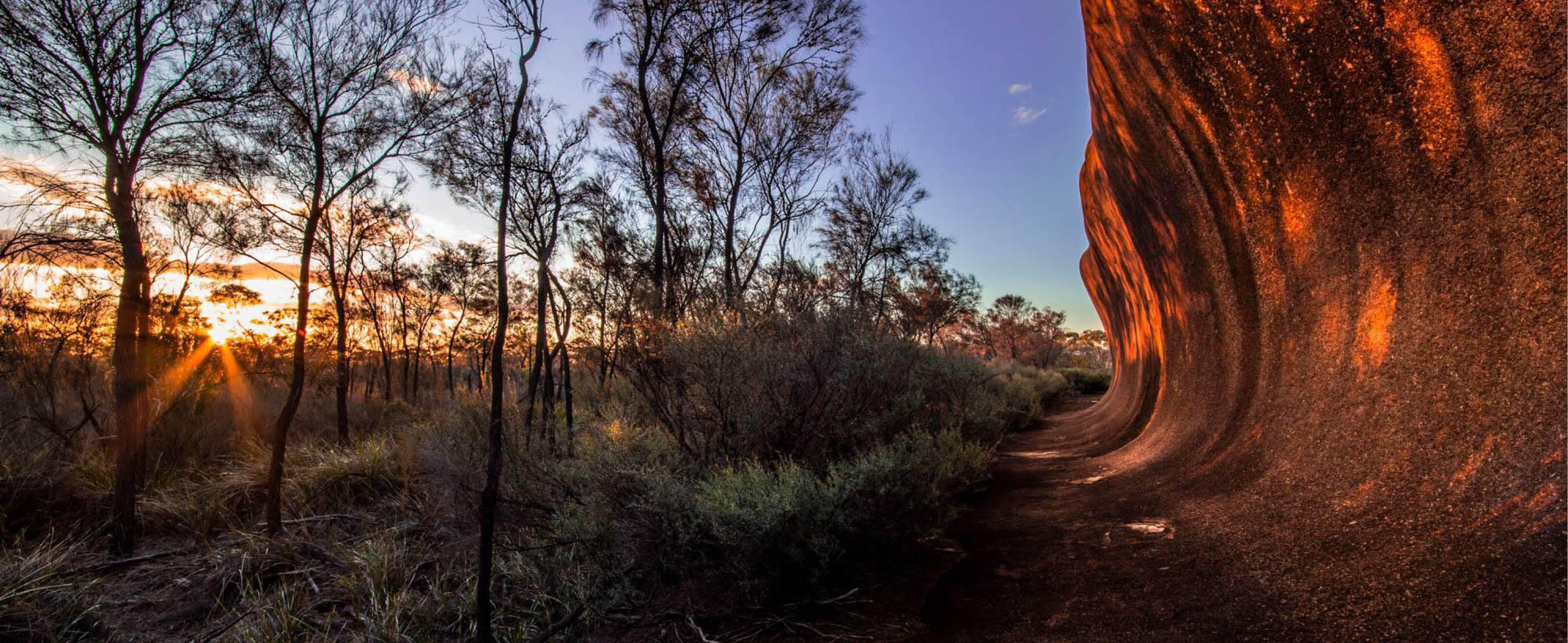 Remote Digital Imagery